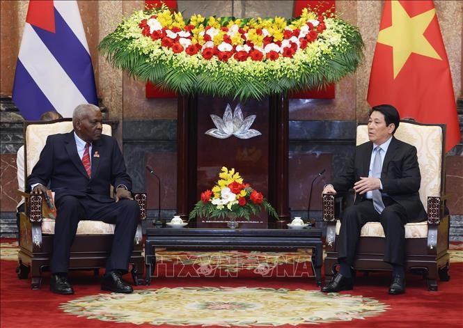 El presidente de Vietnam, Luong Cuong, conversa con el titular de la Asamblea Nacional del Poder Popular de Cuba, Esteban Lazo Hernández. (Foto: VNA)