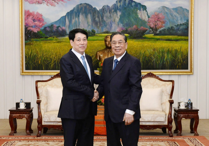 El presidente de Vietnam, Luong Cuong (izquierda), se reúne con el exsecretario general del Partido Popular Revolucionario de Laos Choummaly Sayasone (Foto: VNA)