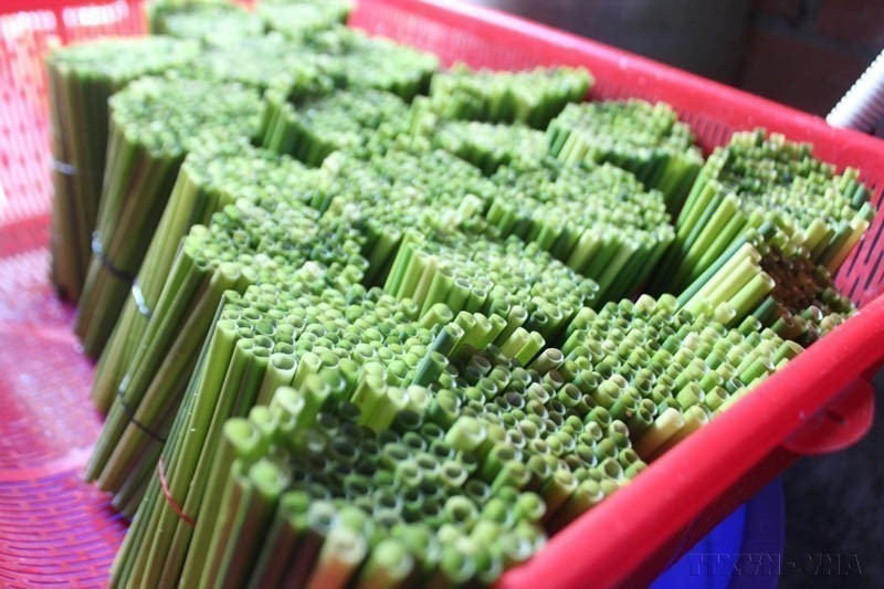 En Ciudad Ho Chi Minh, numerosos establecimientos de comida y bebida usan pajitas ecológicas como alternativa a las de plástico. (Foto: VNA)