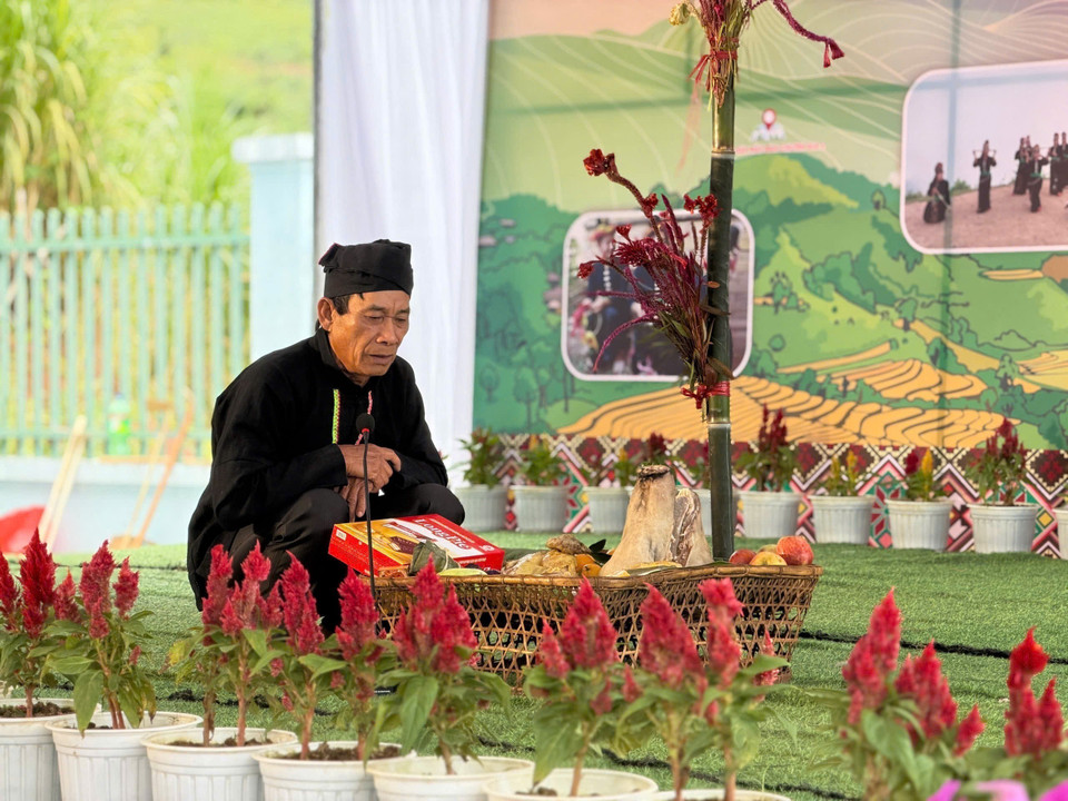 La cresta de gallo es un símbolo del Año Nuevo tradicional del pueblo Cong. (Foto: VNA)