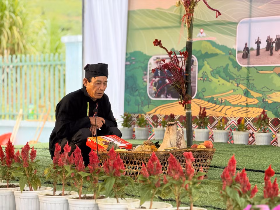 La cresta de gallo es un símbolo del Año Nuevo tradicional del pueblo Cong. (Foto: VNA)