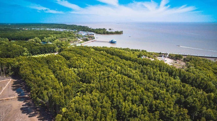 El Parque Nacional Cabo de Ca Mau es un ecosistema natural de manglares con altísimo valor en términos de biodiversidad, paisaje natural, cultura, historia y forma parte de la Reserva Mundial de la Biosfera Cabo de Ca Mau, reconocida por la UNESCO en mayo de 2009. En la foto: Parque Nacional Cabo Ca Mau visto desde arriba. (Foto: VNA)