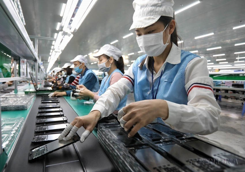Las exportaciones vietnamitas a Nueva Zelanda incluyen teléfonos y componentes, computadoras, productos y componentes electrónicos, bienes acuáticos, anacardos y calzado. En la foto: Línea de producción en la empresa Sun Tech (Bac Giang). (Foto: VNA)