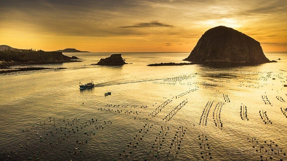 El amanecer sobre el mar en Hon Yen, provincia de Phu Yen, ofrece una imagen serena que refleja la armonía entre el ser humano y la naturaleza. (Foto: VNA)
