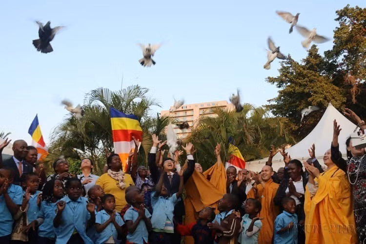 Palomas liberadas en un ritual de paz organizado por la Asociación Budista de Vietnam en coordinación con la Embajada de Hanoi, durante la celebración de Vesak 2019 en Mozambique (Maputo, 29 de mayo de 2019). (Foto: VNA)