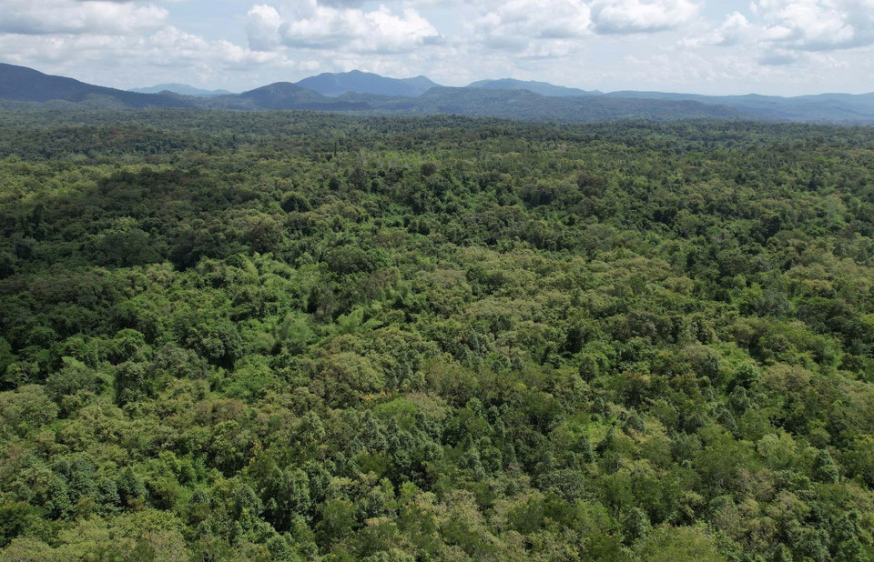 La Reserva Natural de Ea So abarca una superficie de 26 mil 848 hectáreas. (Foto: CCD/VNA)