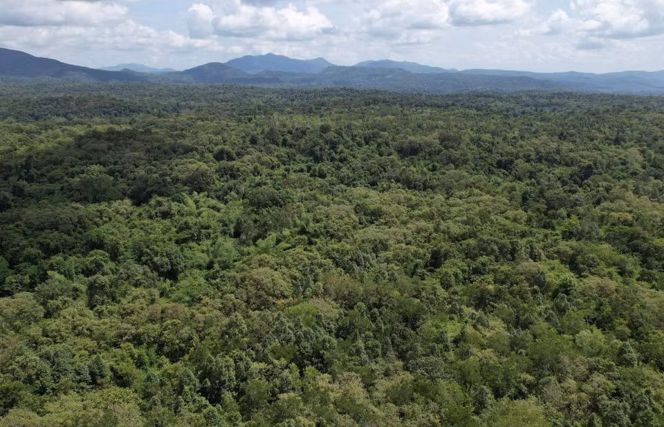 La Reserva Natural de Ea So abarca una superficie de 26 mil 848 hectáreas. (Foto: CCD/VNA)