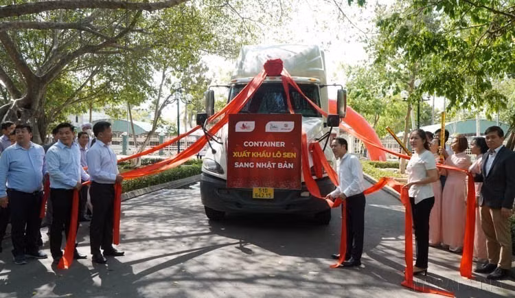 Ceremonia para anunciar la exportación del loto vietnamita al mercado japonés, organizada por la Asociación de la Industria del Loto Dong Thap en coordinación con la empresa Dai Viet Lotus Foods (7 de mayo de 2024). (Foto: VNA)