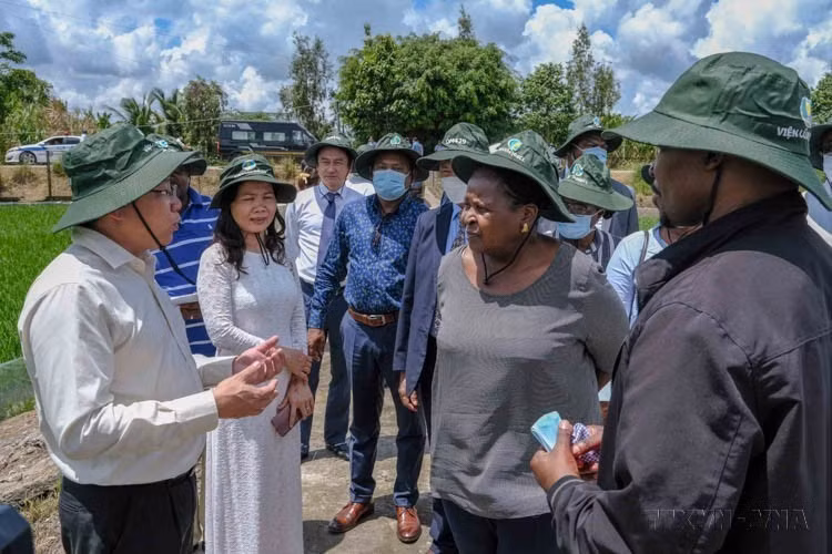 Durante su visita a la ciudad vietnamita de Can Tho, la presidenta de la Asamblea de Mozambique, Esperança Bias, visita un campo experimental del Instituto de Investigación del Arroz del Delta del Mekong en el distrito de Thoi Lai (23 de junio de 2022). (Foto: VNA)