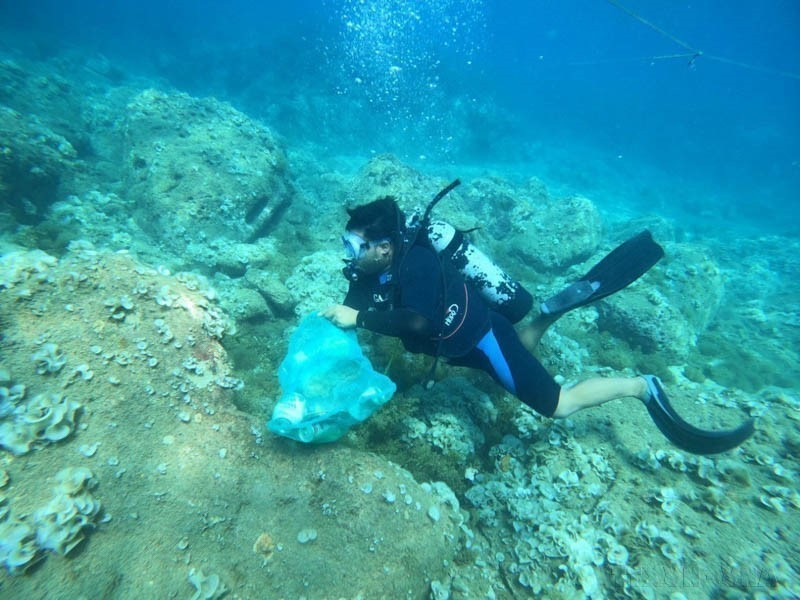 Recolección de residuos plásticos bajo el mar en la comuna insular de Nhon Hai, ciudad de Quy Nhon, provincia de Binh Dinh. (Foto: VNA)