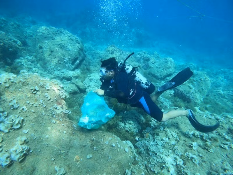 Recolección de residuos plásticos bajo el mar en la comuna insular de Nhon Hai, ciudad de Quy Nhon, provincia de Binh Dinh. (Foto: VNA)