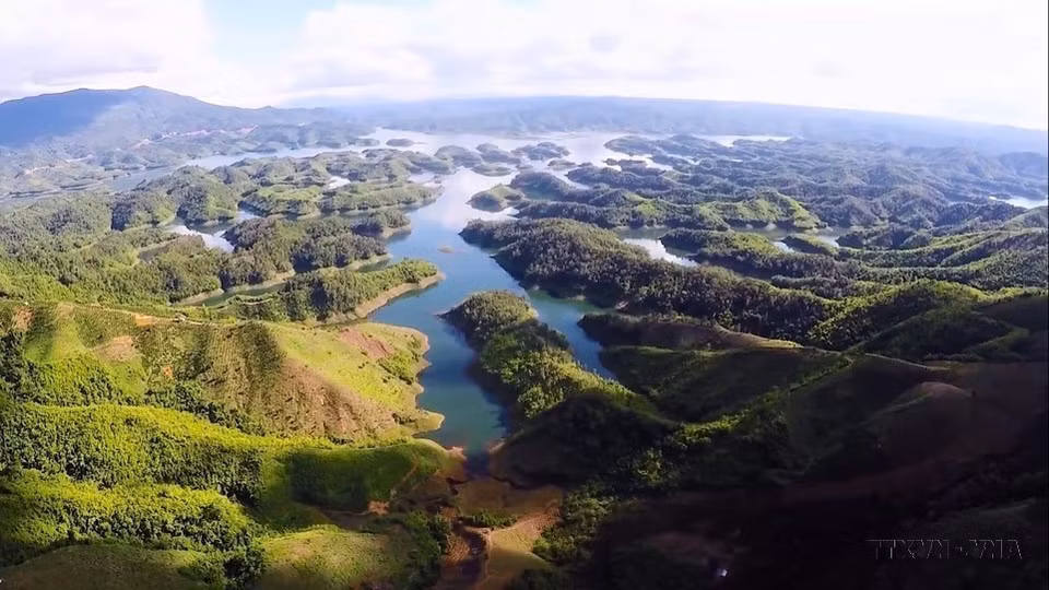 El Parque Nacional Ta Dung es conocido como la "Bahía de Ha Long” de la Altiplanicie Occidental, con el mayor valor de biodiversidad en la provincia de Dak Nong en particular y en la región altiplana en general. El complejo alberga a más de dos mil especies de animales y plantas, muchas de las cuales son raras y están en peligro de extinción. (Foto: VNA)