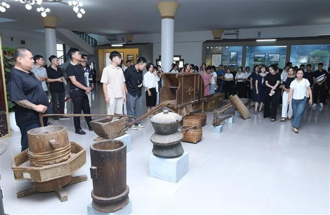 Gracias a una gran variedad de actividades turísticas, hermosos paisajes y una cultura única, la provincia norteña de Lang Son recibió a 3,75 millones de visitantes en lo que va del año, con ingresos estimados de unos 135 millones de dólares. En la foto: Turistas visitan y aprenden sobre la tierra y la gente local en el Museo Provincial de Lang Son. (Foto: VNA)