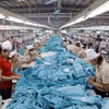 La producción de confección de prendas para la exportación en Viet Pan Pacific World, en la comuna de Hiep Hoa, provincia de Bac Ninh. (Foto: VNA)