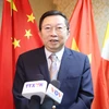 Xu Ningning, presidente del Comité de Cooperación Industrial en el marco del Acuerdo de Asociación Económica Integral Regional (RCEP) (Fuente: VNA)