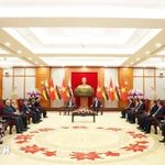 Visita del Sultán de Brunei busca impulsar asociación integral con Vietnam