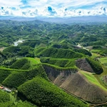 Provincia de Thanh Hoa cultiva bosques conforme a estándares internacionales