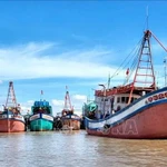 En el puerto pesquero de Ganh Hao, en Ca Mau (Foto: VNA)