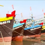 Provincia vietnamita refuerza la supervisión para frenar la pesca ilegal