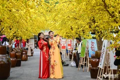 Festivales y actividades culturales atraen a turistas en ocasión del Tet. (Fuente: VNA)