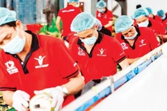 Foto ilustrativa. (Fuente: nhandan.vn)