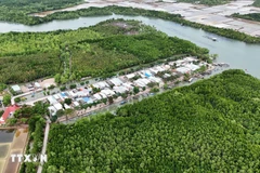 Zona residencial concentrada en medio del ecosistema de manglares de la isla de Thieng Lieng. (Fuente: VNA)