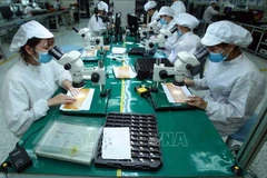 En una empresa en la provincia de Hung Yen. (Fuente: VNA)