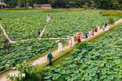 Loto en Ninh Binh. (Fuente: VNA)