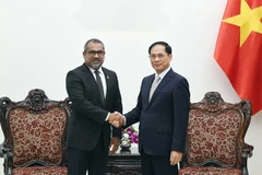 El viceprimer ministro vietnamita Bui Thanh Son y el ministro de Asuntos Exteriores de Maldivas, Abdulla Khaleel. (Fuente: Cancillería)