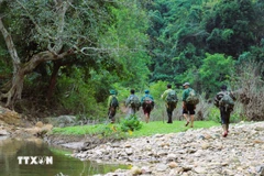 El equipo de estudio de la biodiversidad en la Reserva Natural Pu Huong. (Fuente: VNA)