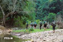 El equipo de estudio de la biodiversidad en la Reserva Natural Pu Huong. (Fuente: VNA)