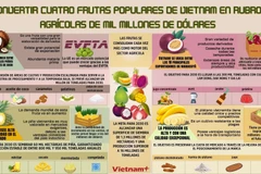 Convertir cuatro frutas populares de Vietnam en rubros agrícolas de mil millones de dólares 
