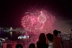 En una actuación de fuegos artificiales. (Fuente: VNA)