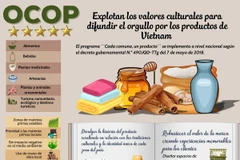 Explotan los valores culturales para difundir el orgullo por los productos de Vietnam 