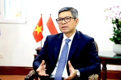 El embajador indonesio en Vietnam, Denny Abdi. (Fuente: VNA)