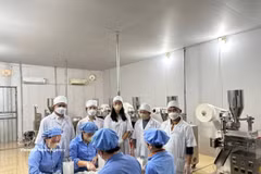 En una empresa de producción de medicamentos en la provincia de Nghe An. (Fuente: VNA)
