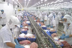 Procesamiento de mariscos para exportación (Foto: VietnamPlus)