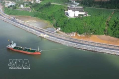 El puerto de Lien Chieu amplía potencial de economía marítima de ciudad de Da Nang. (Fuente: VNA)