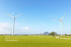 Actualmente, el parque eólico Dam Nai e encuentra en la comuna de Thuan Bac, provincia de Khanh Hoa. (Fuente: VNA)