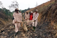 Trasladan una bomba de 220 kilogramos a lugar seguro para su destrucción. (Fuente: VNA)