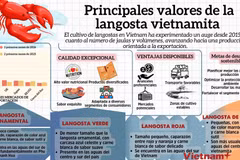 Principales valores de la langosta vietnamita 