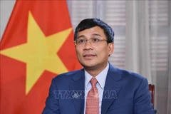 El vicecanciller permanente de Vietnam, Nguyen Minh Vu. (Fuente: VNA)