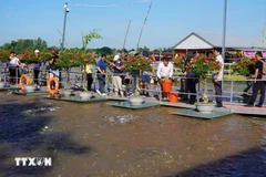 Turistas visitan el río Tien. (Fuente: VNA)