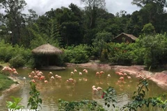 Parque de conservación y cuidado de animales semisalvajes Vinpearl Safari Phu Quoc. (Fuente: VietnamPlus)