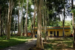 En el Parque Nacional Cat Tien. (Fuente: VNA)