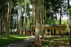En el Parque Nacional Cat Tien. (Fuente: VNA)