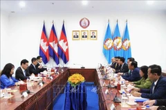 En el encuentro entre la Comisión de Propaganda, Educación y Movilización de Masas del Comité Central del PCV y la Comisión de Movilización de Masas del Comité Central del PPC. (Fuente: VNA)