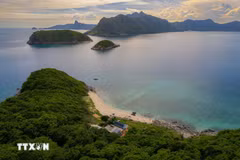 Belleza de Con Dao. (Fuente: VNA)