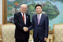 El viceprimer ministro vietnamita Le Thanh Long y Takebe Tsutomu, asesor especial de la Alianza de Amistad Parlamentaria Japón-Vietnam. (Fuente: VNA)