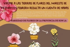 Viajar a las tierras de flores del noreste de Vietnam en febrero resulta un cuento de hadas 